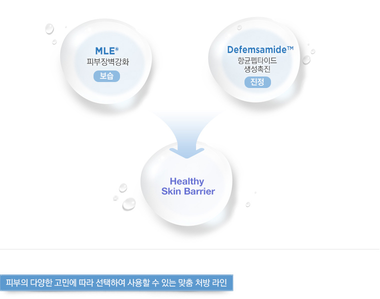 제로이드